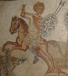 lepis magna.jpegнумидия.jpeg