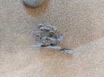 IMG_20230706_132920 (1) (1).jpg