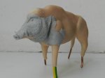 DSCN5714.JPG