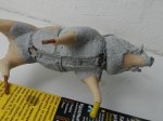 DSCN5722.JPG