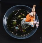 DSC00295.JPG