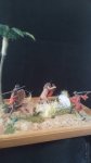 IMG_20170723_150611.jpg