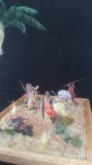 IMG_20170723_150626.jpg