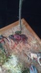 IMG_20170723_151025.jpg
