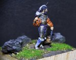 IMG_9863.JPG