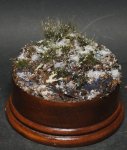 DSC01903.JPG