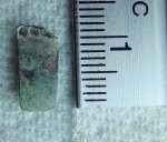 Scale close up-2.jpg