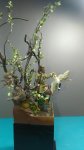 IMG-20180909-WA0009.jpg