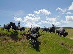 tatanka-story-of-the.jpg