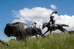 tatanka-story-of-the (1).jpg