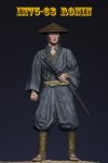 Ronin.jpg