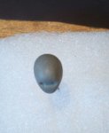 IMG_20170325_105315_150.jpg