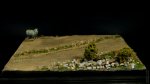DSC08588.JPG